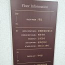 청담쎄븐골프죤 네이버블로그