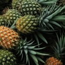 벨라지오모텔 이미지