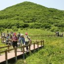 곰배령 꽃길 이미지