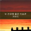 양정베스트안과의원 네이버블로그