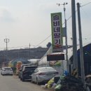 솔비 농장 이미지