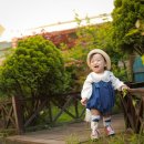 올리브트리스튜디오 이미지