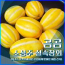 곰곰 | [내돈내산] 곰곰 성주 실속참외 후기 (1인 가구 여름 제철과일 추천)