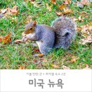 뉴욕 혼자여행에도 안전한 뉴욕숙소 2곳 + 11월 날씨 + 여행 팁