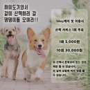 하이도기 이미지