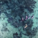 몰디브커피 이미지