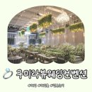 남구미로-13 | W01. [웨딩홀] 구미 라뷰웨딩컨벤션 계약 후기 / 결혼 준비