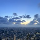 공중도시 | [오사카 3박 4일 2일차] 우메다 공중정원 전망대 입장권 티켓 구매 예약 후기 / 오사카 노을 야경...