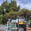 [전주 가볼만한곳] 타임머신 타고 과거 여행! 아이와 함께 즐기는 전주 '난장' 후기
