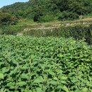 원광공인중개사사무소 이미지