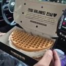 풍요5길 | 260111 와글와글일기 (만약에 우리 영화 후기=울고 또 울기)