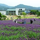 느티나무농원 이미지