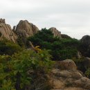 경포대주차장 이미지