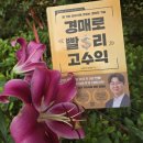 아마다로 | 경매로 빨리 고수익, 책과강연, 아마다군 진성호 지음