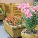 이림유치원 이미지