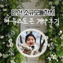 가까운안산동물약국 | 안산 소규모돌잔치 아뮤즈도든 계약후기 새솔동에서 가까운것도 좋아