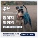 동두천 메디컬 센터 이미지