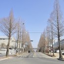 반촌2리 이미지