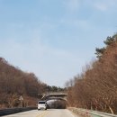 동양 최대 와불상,, 이미지
