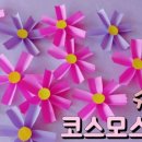 코스모스 어린이집 이미지