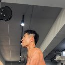 삼두 이미지
