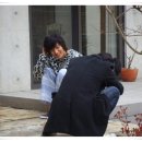 애견모델 이미지