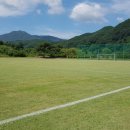 와룡체육공원 이미지