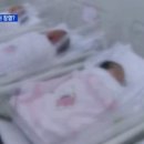 로타테크 네이버블로그