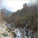 화 봉 재 이미지