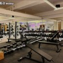 머슬팩토리 easy 이미지