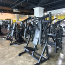 피트니아 이미지