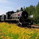 곡성심청축제장 이미지