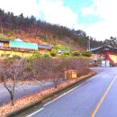 칠곡 흥국사 목조보살좌상 이미지