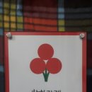 신성직업소개소 Daum카페
