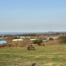 원일목장 이미지