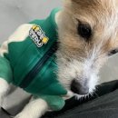 두유 개린이집 이미지