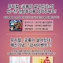 강동아트센터 대극장 한강 네이버블로그