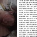 강릉언니