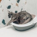 신도림동물병원 이미지