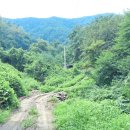 대지부동산중개인사무소 이미지