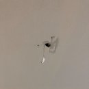 H8192 | 동탄2 신도시 하우스디더레이크 도배 교체했어요[젠틀인테리어/시공후기]