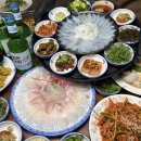 거제맛집 제철 물고기 회 맛보는 외포 9번 횟집