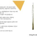 에코태양광발전소 이미지