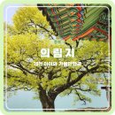 신월동217 | 충북 제천 의림지 용추폭포 주차장 놀거리 후기