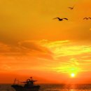 바다노을 이미지