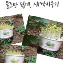 새싹상회 이미지