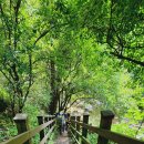 치악산둘레길 2코스 구룡길 이미지