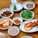 홍한울순대 티스토리