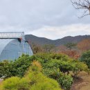 푸른꽃농원 - 고양시 일산동구 식사로 3 | 푸른꽃농원