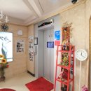 스타무인텔 이미지